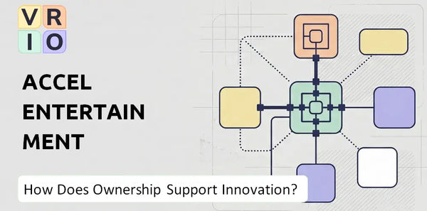 Who Owns Accel Entertainment Company and Does Ownership Support Innovation?