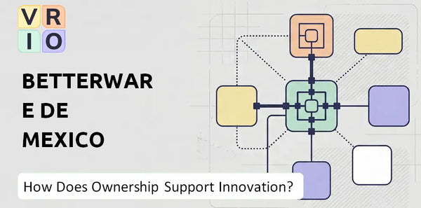 Who Owns Betterware de Mexico Company and Does Ownership Support Innovation?