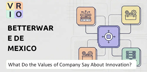 What Do the Mission, Vision, and Values of Betterware de Mexico Company Say About Innovation?