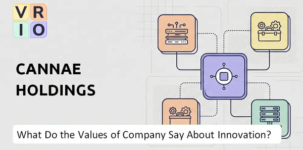 What Do the Mission, Vision, and Values of Cannae Holdings Company Say About Innovation?