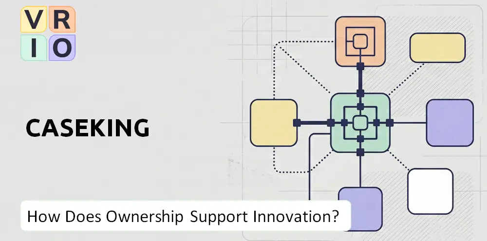 Caseking Company Innovation Governance