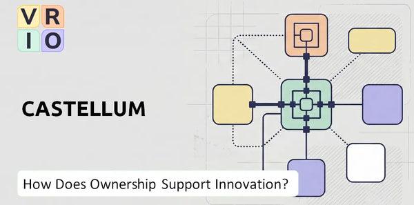 Who Owns Castellum Company and Does Ownership Support Innovation?