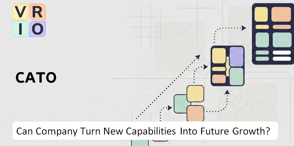 Catofashions Company Capability Growth