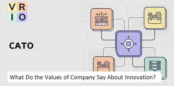 What Do the Mission, Vision, and Values of Cato Company Say About Innovation?