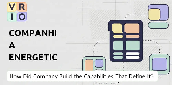 How Did Companhia Energetica de Minas Gerais Company Build the Capabilities That Define It Today?