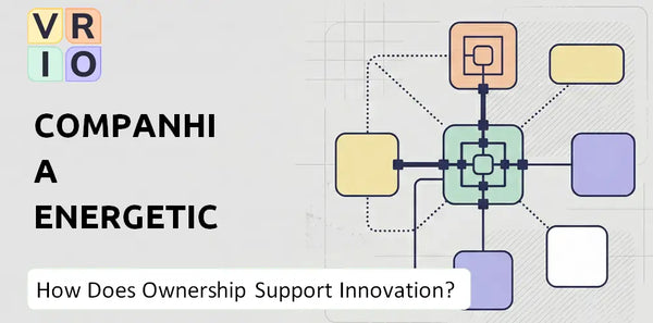 Who Owns Companhia Energetica de Minas Gerais Company and Does Ownership Support Innovation?