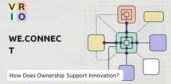 Who Owns We.Connect Company and Does Ownership Support Innovation?