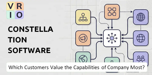 Which Customers Value the Capabilities of Constellation Software Company Most?