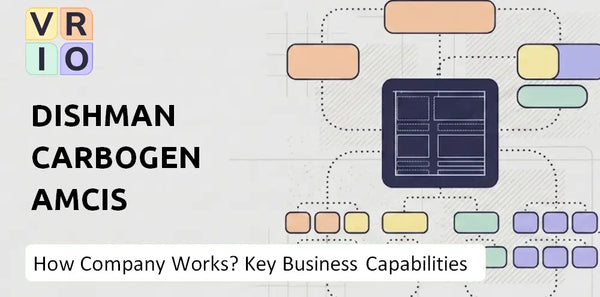 How Does Dishman Carbogen Amcis Company Work and Which Capabilities Power the Business?