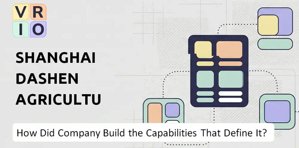 How Did Shanghai Dashen Agriculture Finance Technology Company Build the Capabilities That Define It Today?