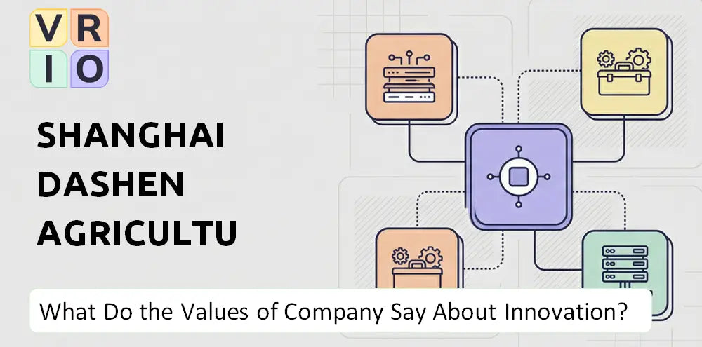 Dsgd Sh Company Innovation Principles