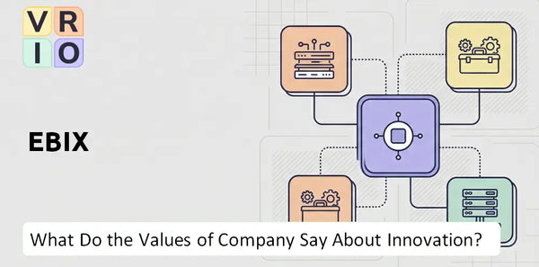 What Do the Mission, Vision, and Values of Ebix Company Say About Innovation?
