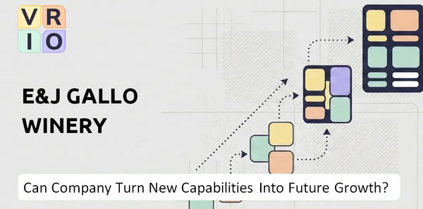 Can E&J Gallo Winery Company Turn New Capabilities Into Future Growth?