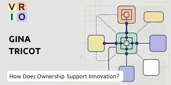 Who Owns Gina Tricot Company and Does Ownership Support Innovation?