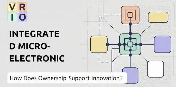 Who Owns Integrated Micro-Electronics Company and Does Ownership Support Innovation?