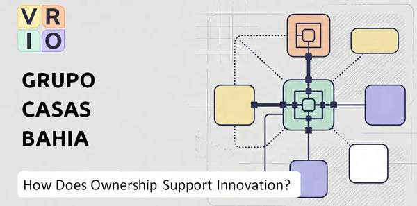 Who Owns Grupo Casas Bahia Company and Does Ownership Support Innovation?