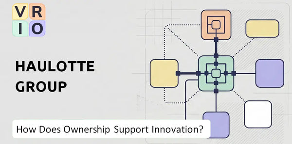 Who Owns Haulotte Group Company and Does Ownership Support Innovation?