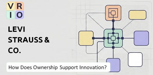 Who Owns Levi Strauss & Co. Company and Does Ownership Support Innovation?