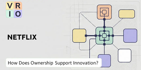 Who Owns Netflix Company and Does Ownership Support Innovation?