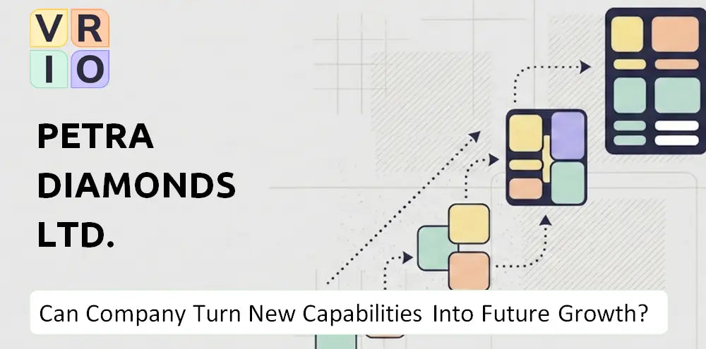 Petradiamonds Company Capability Growth