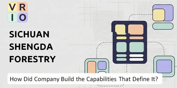 How Did Sichuan Shengda Forestry Industry Co. Company Build the Capabilities That Define It Today?