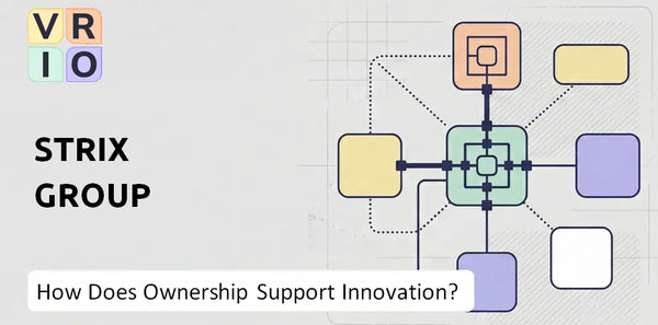 Who Owns STRIX Group Company and Does Ownership Support Innovation?