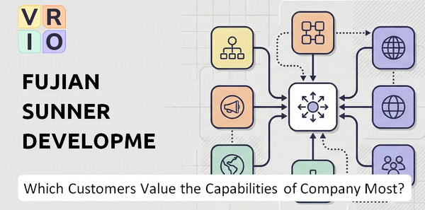 Which Customers Value the Capabilities of Fujian Sunner Development Company Most?