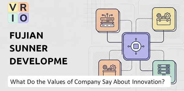 What Do the Mission, Vision, and Values of Fujian Sunner Development Company Say About Innovation?