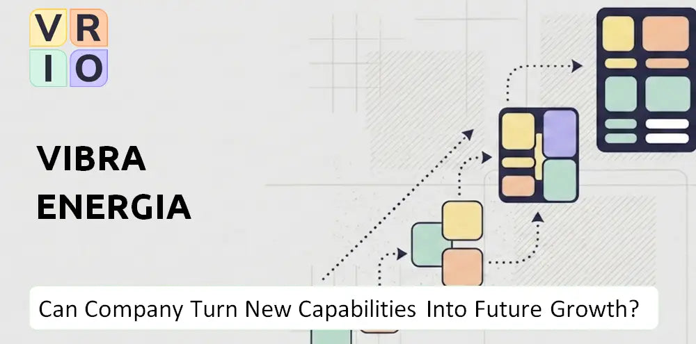 Vibraenergia Company Capability Growth