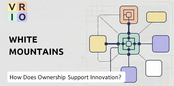 Who Owns White Mountains  Company and Does Ownership Support Innovation?