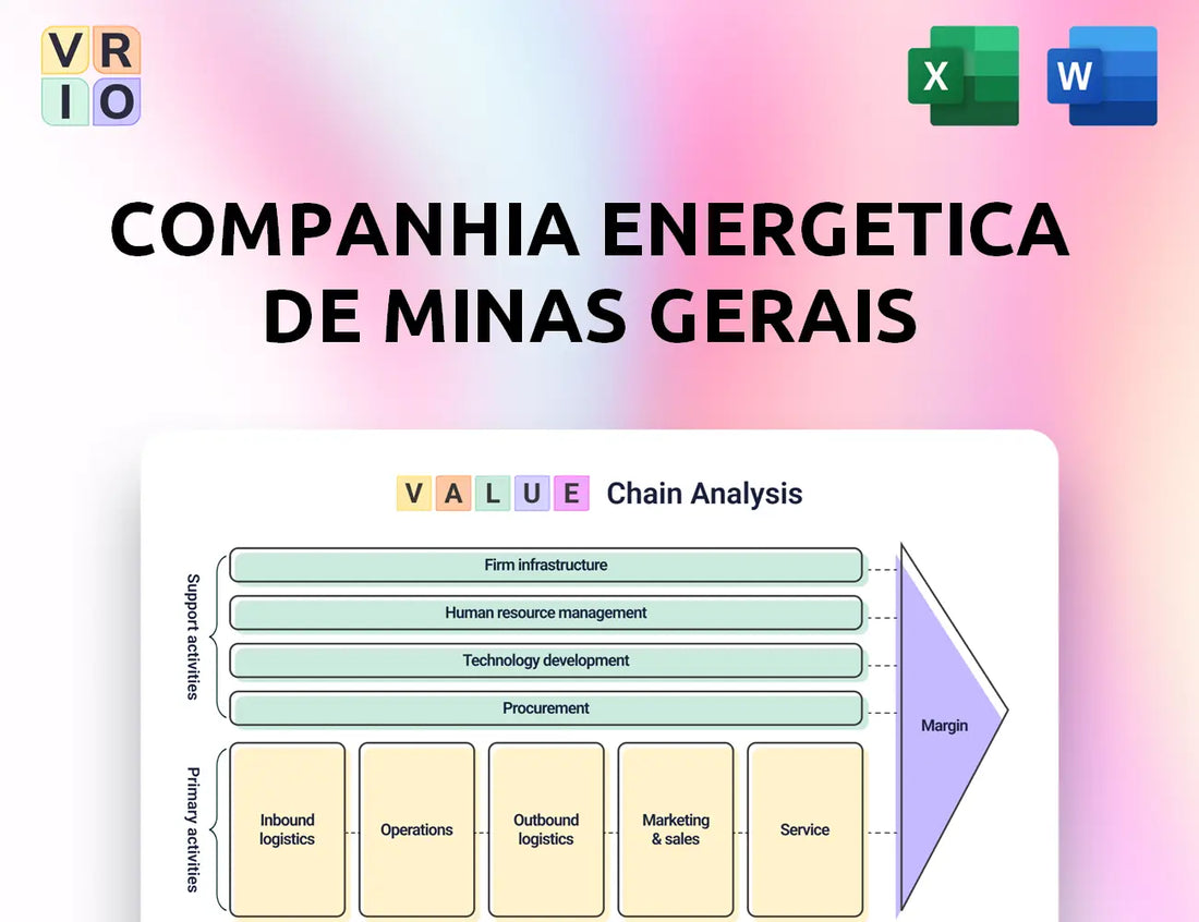 Companhia Energetica de Minas Gerais Value Chain Analysis