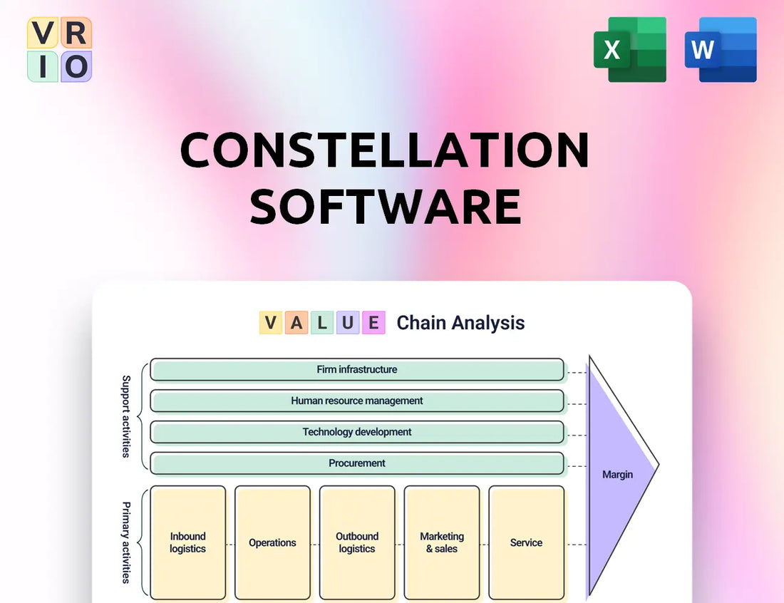 Constellation Software Value Chain Analysis