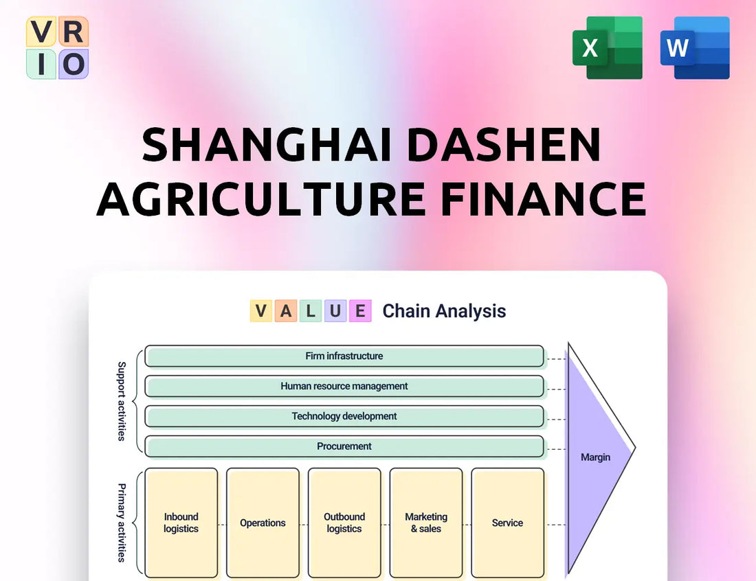 Shanghai Dashen Agriculture Finance Technology Value Chain Analysis
