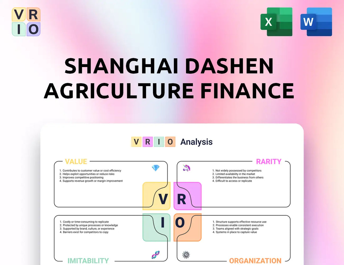 Shanghai Dashen Agriculture Finance Technology VRIO Analysis