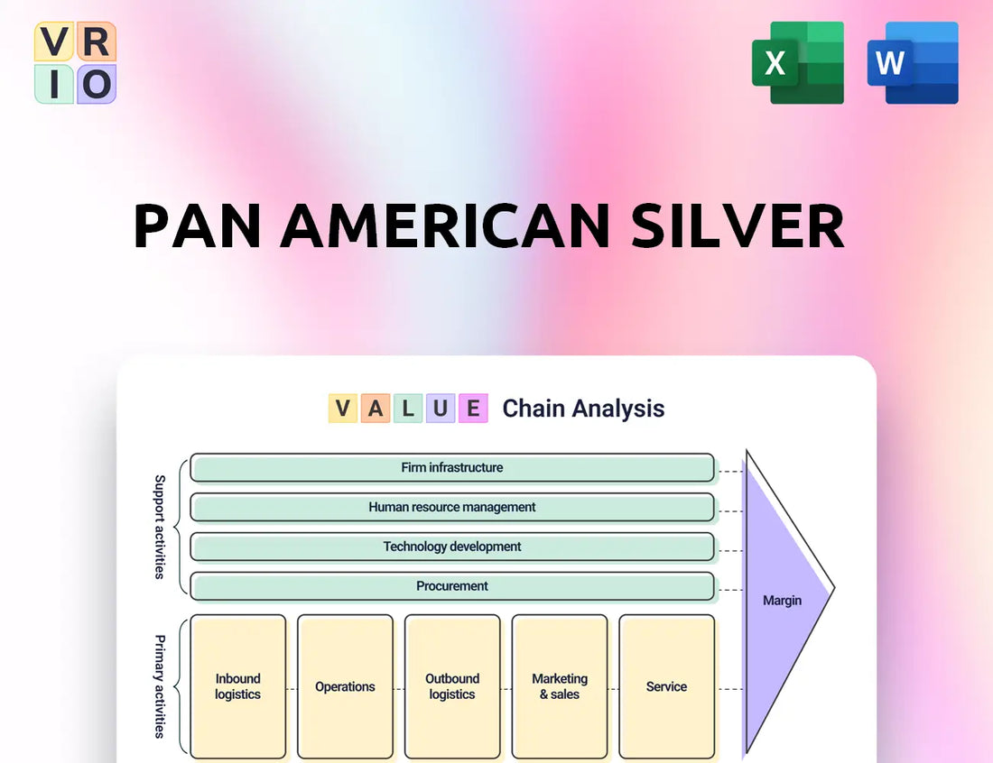 Pan American Silver Value Chain Analysis