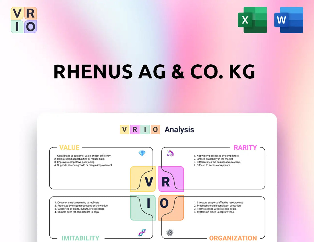Rhenus AG & Co. KG VRIO Analysis