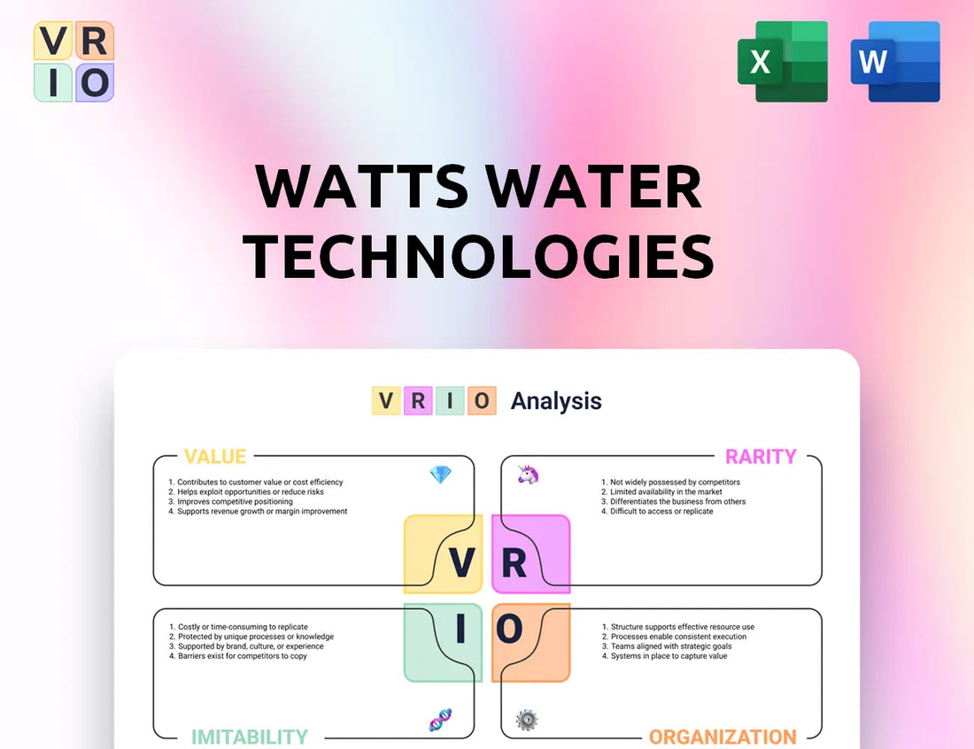 Watts Water Technologies VRIO Analysis
